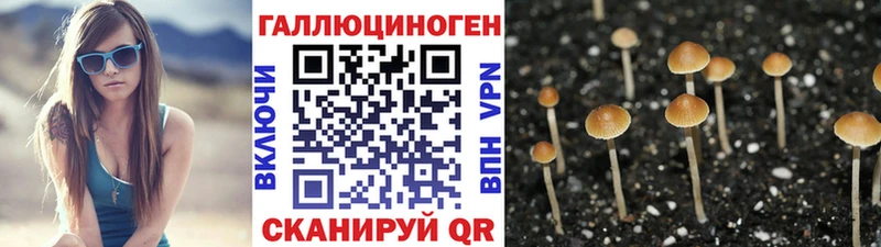 Купить закладки  Иланский  Псилоцибиновые грибы GOLDEN TEACHER 